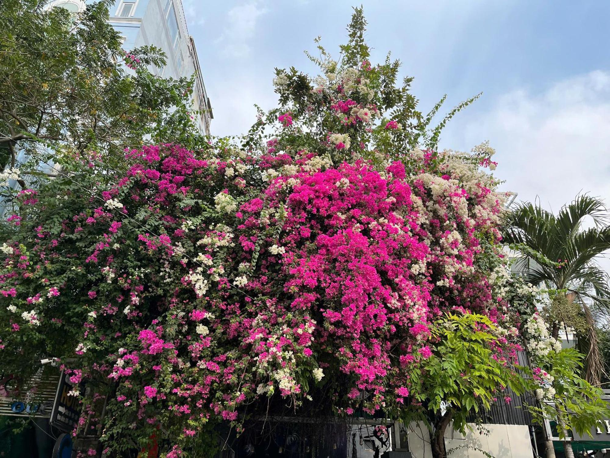 Hotel Nguyen Anh Ciudad Ho Chi Minh  Exterior foto